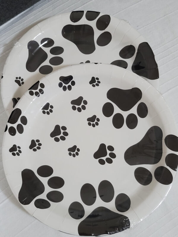 Big Paper Plates